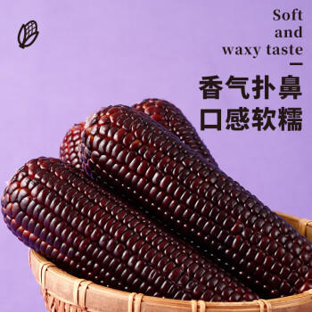 金沃瑞丰精品有机 黑糯玉米棒260g*8支＞4.5斤  新鲜甜粘黏 早餐 /粮油调味 /杂粮 /谷米类 商品图5