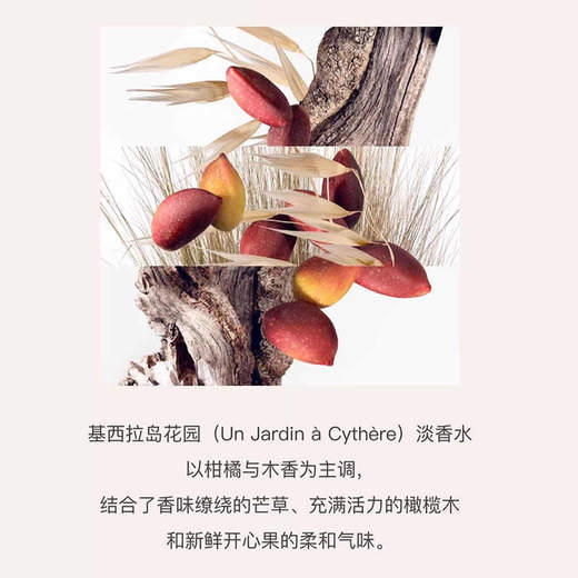 【保税仓】Hermes 爱马仕 基西拉岛花园香水套装（淡香50ml15ml） 商品图2