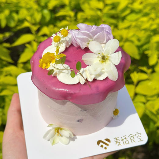 多巴胺提子（多肉葡萄）约12点做好 商品图1