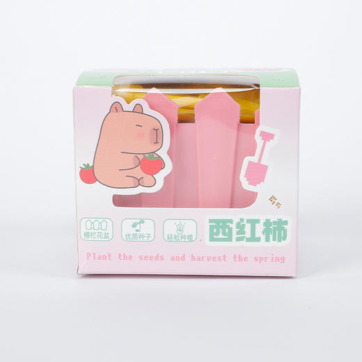 纪念日百货卡皮巴拉水果花卉种植盆栽161895141 商品图3