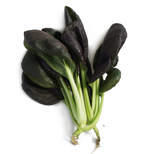 紫油菜  300g 商品图1