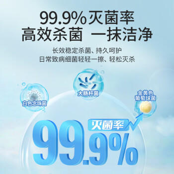 粒米75%酒精湿巾10片*10包消毒湿纸巾杀菌湿巾湿纸巾儿童酒精棉片 /家庭清洁/纸品 /清洁纸品 /湿巾 商品图1