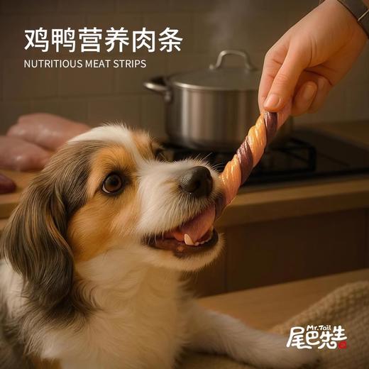 尾巴先生老狗零食鸡鸭肉干中老年犬宠物食品易消化泰迪柯基幼犬 商品图3