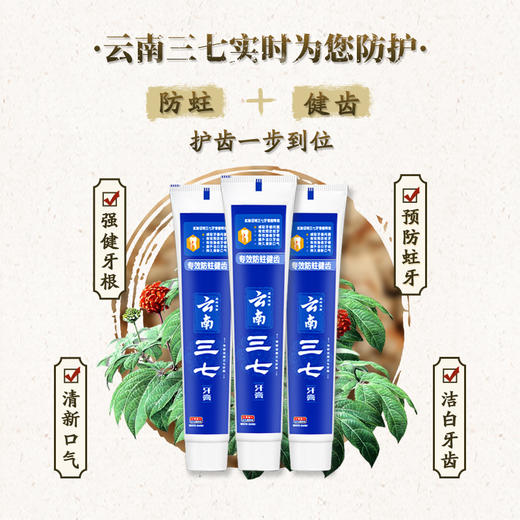 云南三七 专效防蛀健齿牙膏100*3只 商品图0