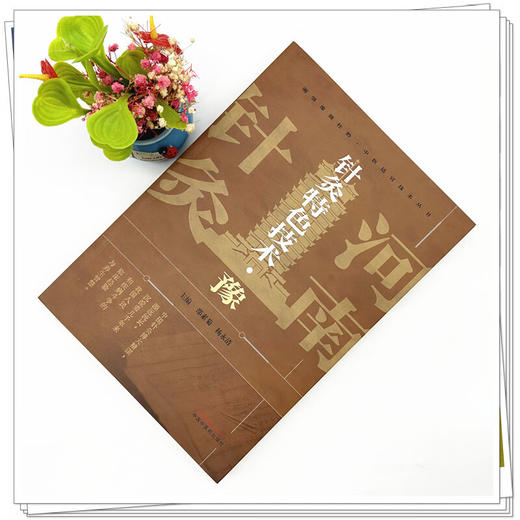 针灸特色技术（豫）邵素菊 杨永清 主编 湘鄂豫赣桂黔中医适宜技术丛书 中医临床 针灸学书籍 9787513293877 中国中医药出版社  商品图2