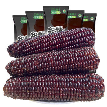 金沃瑞丰精品有机 黑糯玉米棒260g*8支＞4.5斤  新鲜甜粘黏 早餐 /粮油调味 /杂粮 /谷米类 商品图7
