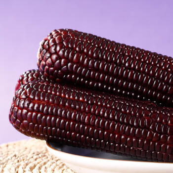 金沃瑞丰精品有机 黑糯玉米棒260g*8支＞4.5斤  新鲜甜粘黏 早餐 /粮油调味 /杂粮 /谷米类 商品图1