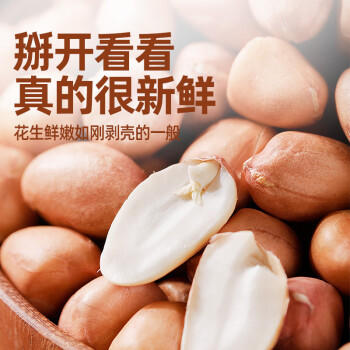 九月的诗九月的诗东北有机一级白沙花生1.56斤*1罐农家原味晒干新货花生米 /粮油调味 /杂粮 /谷米类 商品图1
