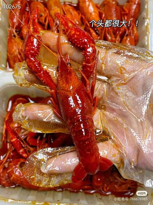 信良记麻辣小龙虾一盒 商品图2