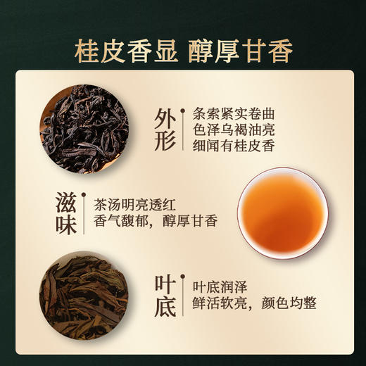 岩语 厚韵肉桂 中火特级武夷岩茶乌龙茶茶叶盒装送礼144g 商品图4