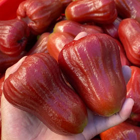 海南黑金刚莲雾3个/份