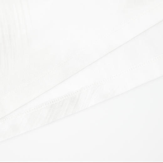 【新品上新】HX 夏季圆领短袖T恤合体S102522455101/02 商品图9