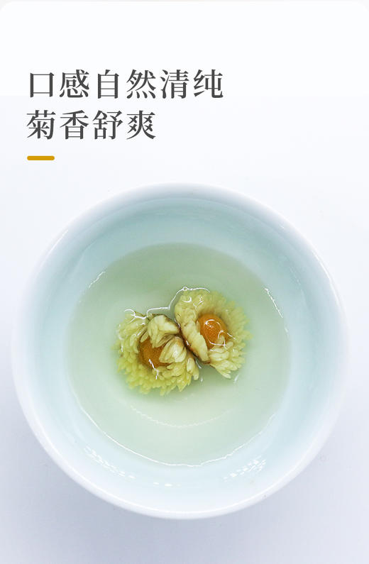 桐乡胎菊 无硫好品质 20g 商品图7