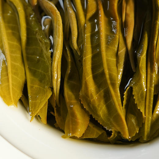 【哆依树高杆】2025年头春头采选取易武高杆之王，仅采茶王树周边八棵大高杆单采单制357g/饼 商品图5