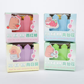 纪念日百货卡皮巴拉水果花卉种植盆栽161895141