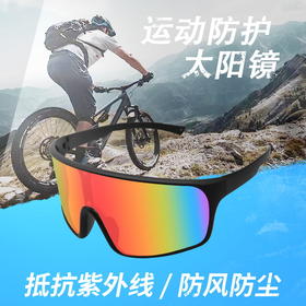 【大视野！骑行护目镜】自行车骑行变色眼镜 炫彩防风骑行跑步 户外山地车 日夜可用护目镜-QQ
