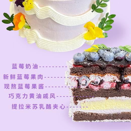 蓝莓乳酪 商品图1