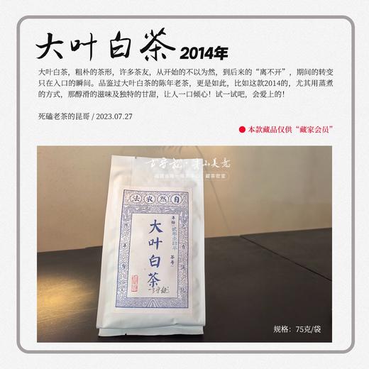 方守龙老茶仓 2014年夏牡丹茶大叶冬茶特品 [官方旗舰店正品直供] 商品图2