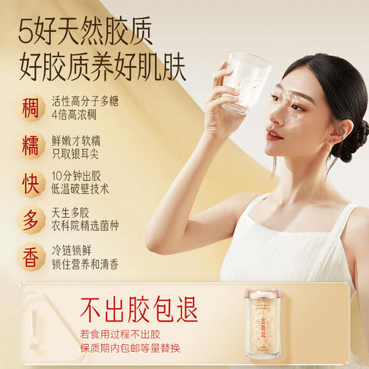 【季卡套餐赠电炖杯+焖烧杯】金燕耳纯萃系列小蛮腰粉罐80克*2套+2克*20袋/盒*2盒 高山生态有机银耳 焖20分钟即食 商品图1