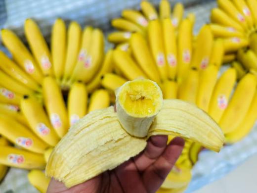 佳农皇帝蕉（2斤左右/把） 商品图1