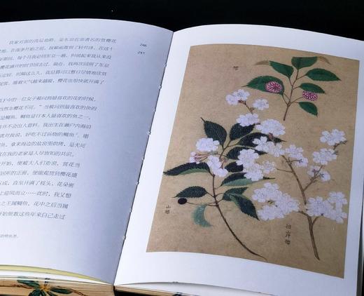 限量刷边本：《百花谱》，32开平装，日 幸田露伴等著，九州出版社2025年初版一刷，298页，售价78元。 商品图13