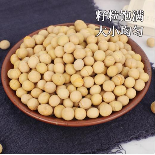 晋风杂粮 黄豆400g 商品图1