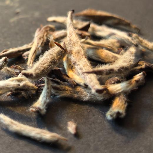 方守龙老茶仓 2010年白毫银针春牡丹茶特品 [官方旗舰店正品直供] 商品图3