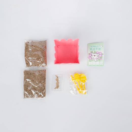 纪念日百货卡皮巴拉水果花卉种植盆栽161895141 商品图4