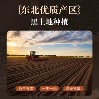 益丰惠新米正宗五常黑米5斤 双层真空2.5kg东北黑龙江香米杂粮粗粮粥米 /粮油调味 /杂粮 /谷米类 商品图0