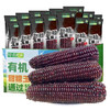 金沃瑞丰精品有机 黑糯玉米棒260g*8支＞4.5斤  新鲜甜粘黏 早餐 /粮油调味 /杂粮 /谷米类 商品缩略图0