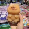 卡皮巴拉的旅行超透起泡胶创意减压玩具（款式随机） 商品缩略图3