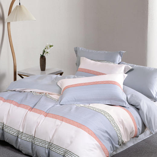 水星家纺全涤磨毛四件套DH雪映流光 商品图1