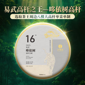 【哆依树高杆】2025年头春头采选取易武高杆之王，仅采茶王树周边八棵大高杆单采单制357g/饼