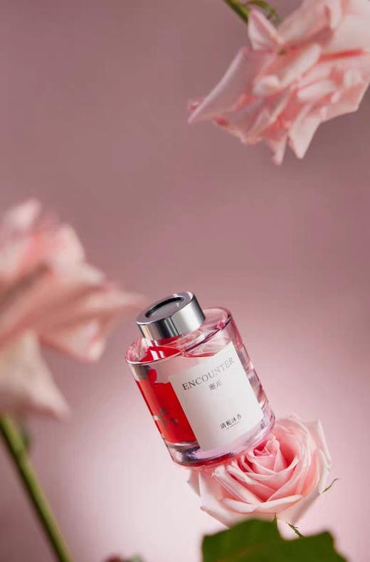 清栀沐香/邂逅香薰 商品图1