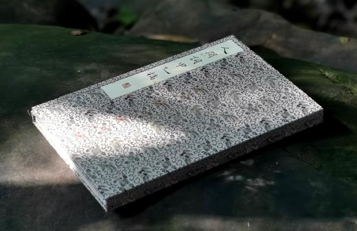 雕版印刷：《人间词甲乙稿》，16开，王国维著。 商品图3