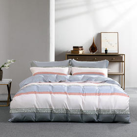 水星家纺全涤磨毛四件套DH雪映流光