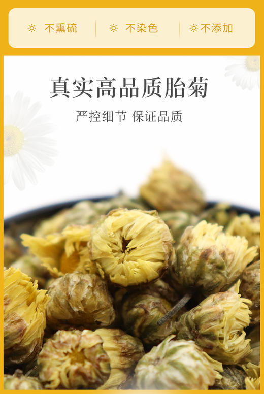 桐乡胎菊 无硫好品质 20g 商品图2