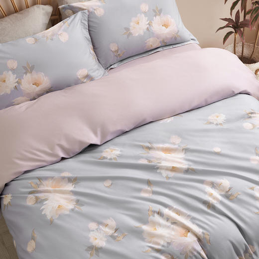 水星家纺全棉抗菌四件套—蔓莎 商品图3