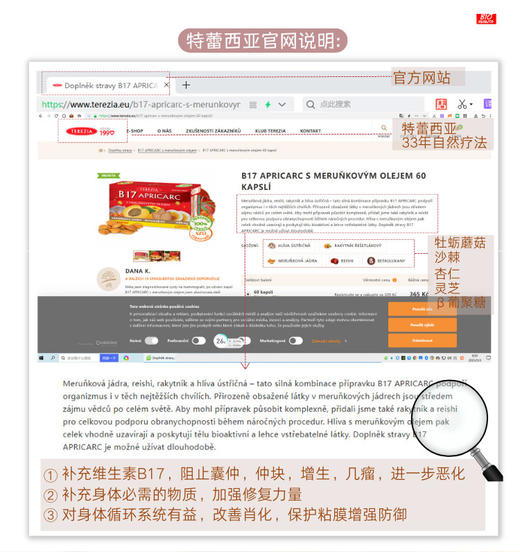 捷克特蕾西亚免疫4重奏 B17杏仁灵芝胶囊60粒！加强抵抗力术后补充能量防大疾 商品图4