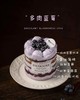 【口味蛋糕】4英寸多肉蓝莓进口动物奶油蛋糕 商品缩略图0