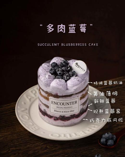 【口味蛋糕】4英寸多肉蓝莓进口动物奶油蛋糕 商品图0
