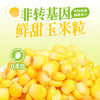 华田禾邦【非转基因】鲜甜玉米粒80g×10袋 婴儿孕妇宝宝零食代餐开袋即食 /粮油调味 /杂粮 /谷米类 商品缩略图6