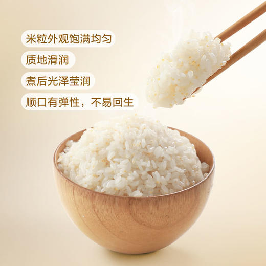 MM 山姆 金龙鱼 免淘洗胚芽米 1.25kg*4 商品图6