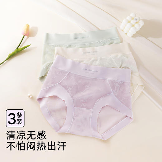 【3条装】熳洁儿 中腰女士内裤网纱清凉透气含桑蚕丝25262117 商品图5