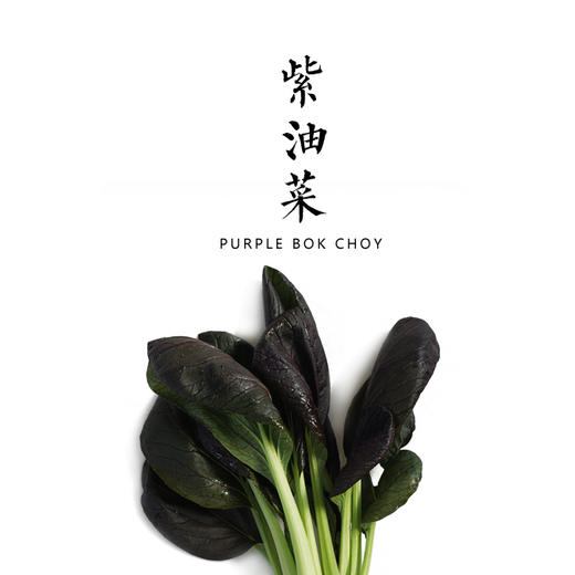 紫油菜  300g 商品图0