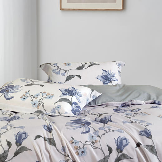 水星家纺抗菌磨毛四件套-晚风微 商品图2