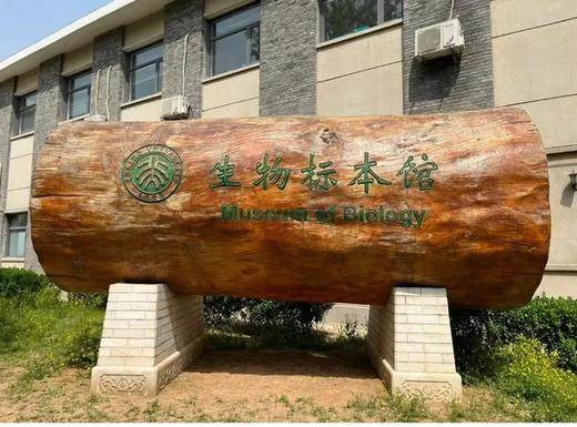 爱上北京——北京大学深度研学营！【走进燕园，对话未来】听学霸分享启迪，汲取知识的力量！ 商品图11