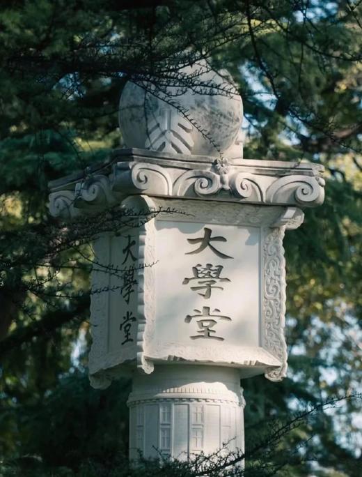 爱上北京——北京大学深度研学营！【走进燕园，对话未来】听学霸分享启迪，汲取知识的力量！ 商品图5