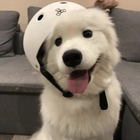 测试看看是否展示