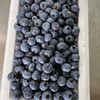 蓝莓15+（500g）/桶 商品缩略图1